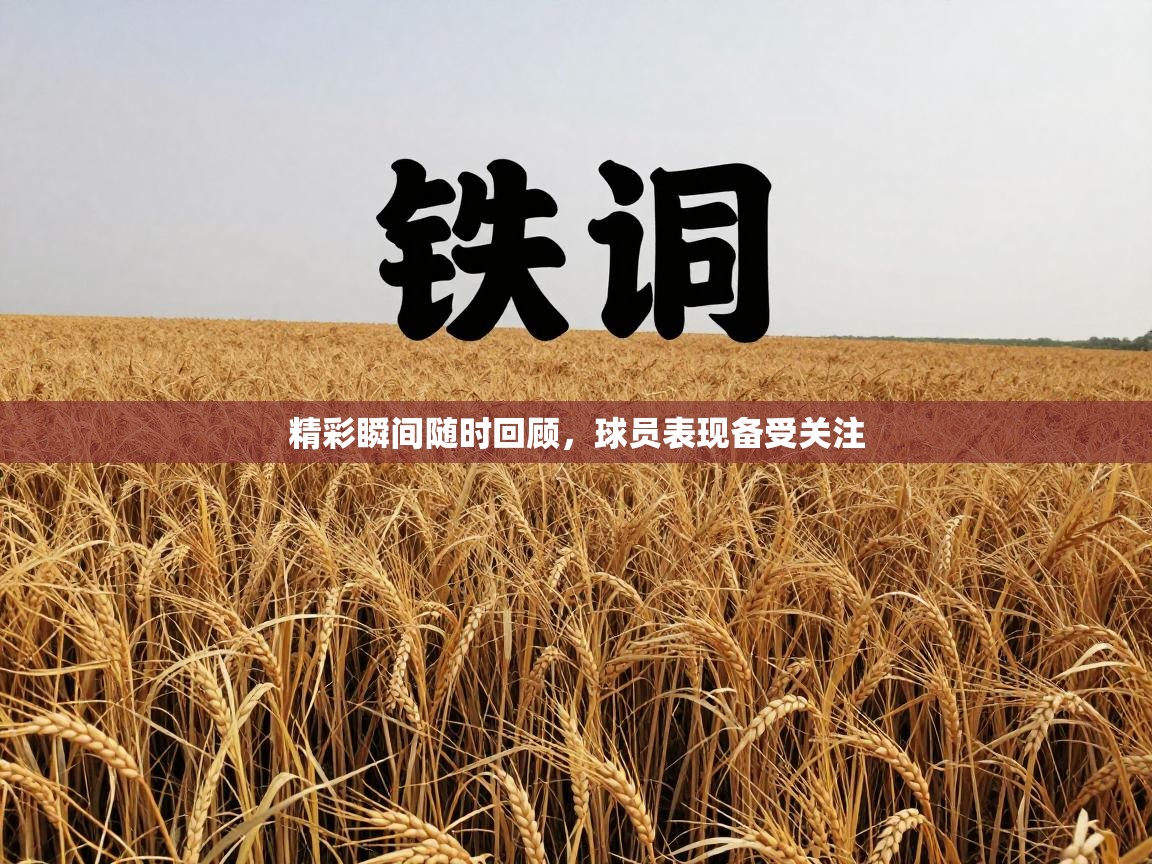 爱游戏娱乐登录-精彩瞬间随时回顾,球员表现备受关注 第1张