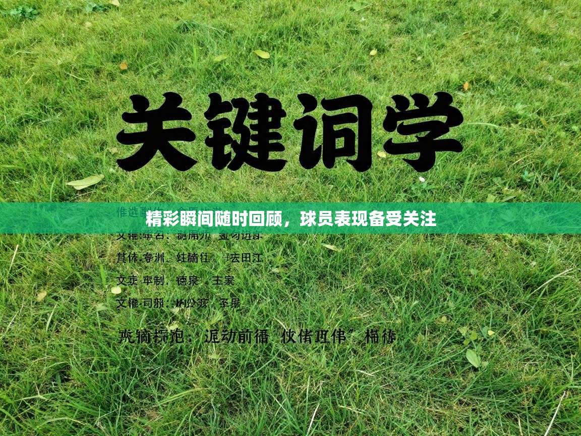 爱游戏娱乐登录-精彩瞬间随时回顾,球员表现备受关注 第2张