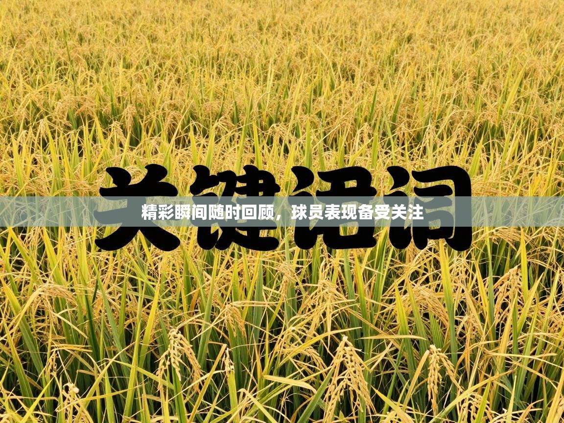 爱游戏娱乐登录-精彩瞬间随时回顾,球员表现备受关注 第3张