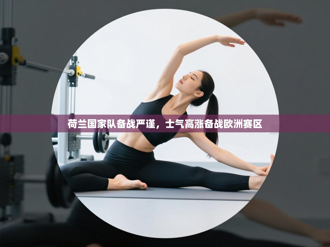 爱游戏体育入口app-荷兰国家队备战严谨，士气高涨备战欧洲赛区  第2张