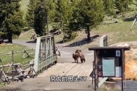 乐动体育官网入口-包含各队技战术风格各异，互相较量谁能笑到最后的词条